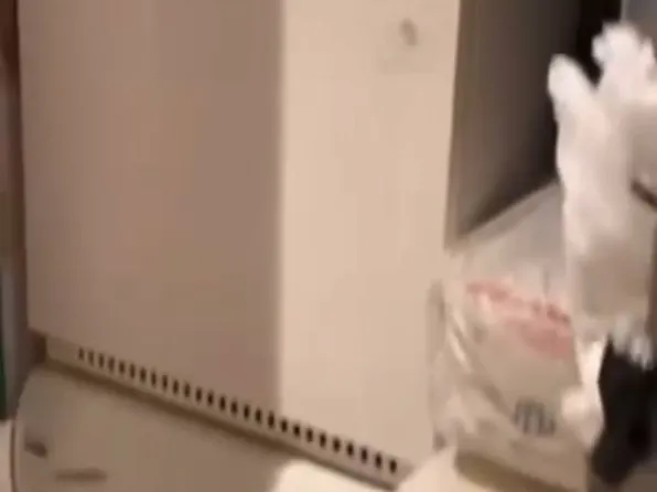 88 Greenwich Street image 7 of 8