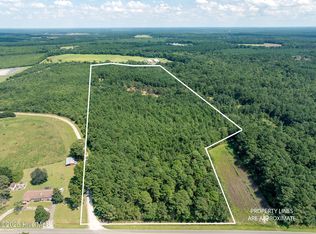 Tbd (1951) Carrtown Dr., Greenevers, NC 28458