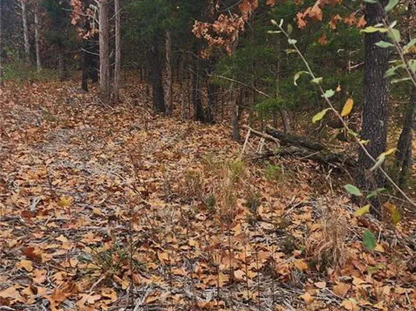 11050 County Road 2220, Rolla, MO 65401