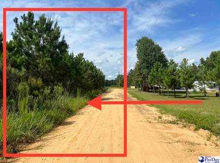 1 & 2 Crawford Ct, Fork, SC 29543