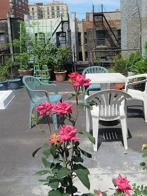 Rented by Keller Williams NYC | media 39