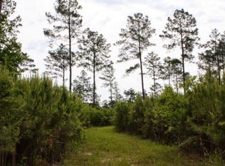 LOT 1 Highway 583, Jayess, MS 39641