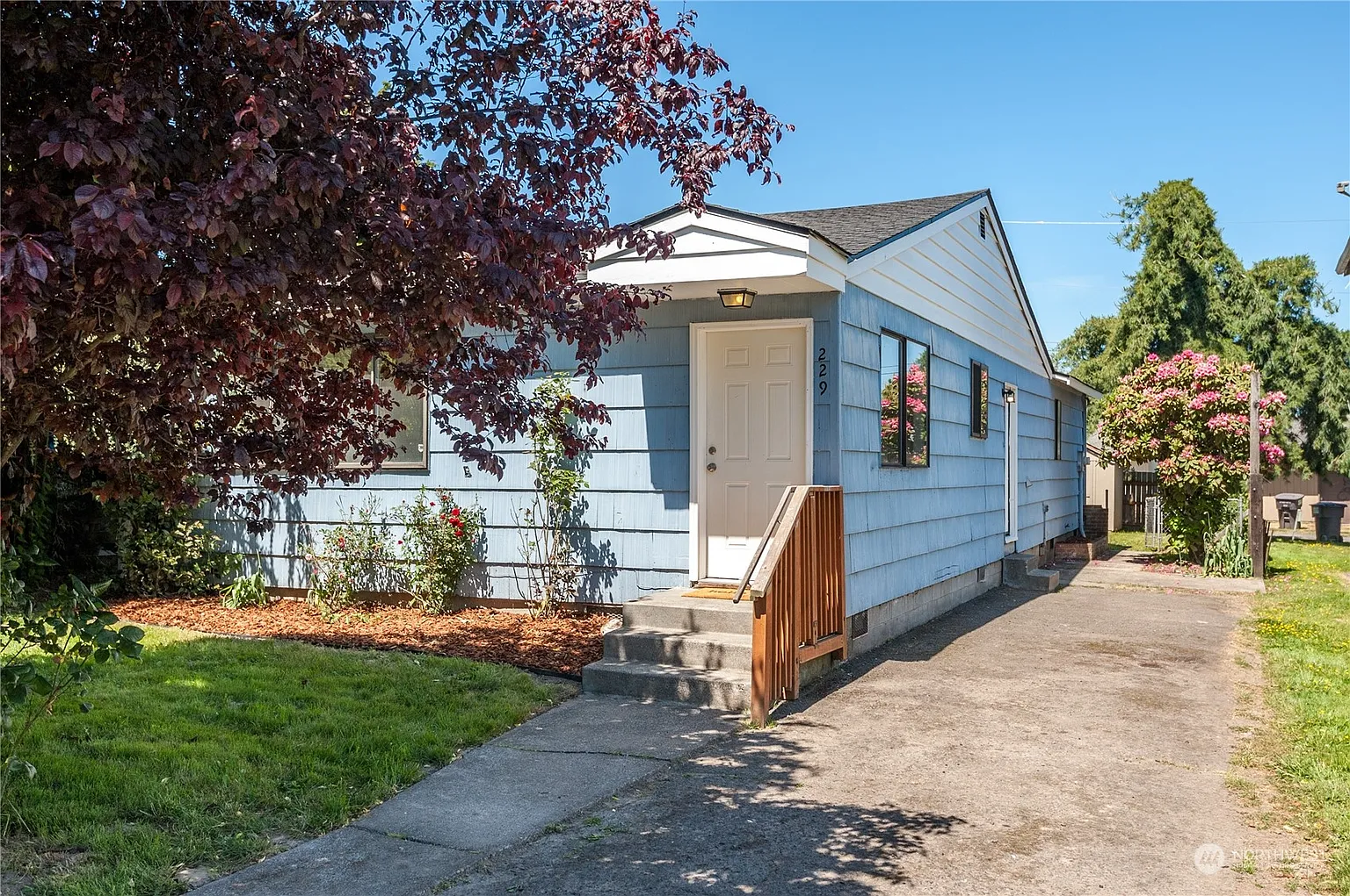 229 25th Avenue photo 1