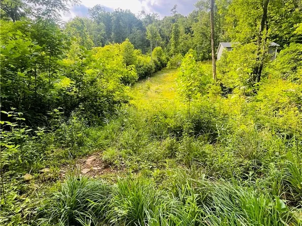TBD Woodstown Road, Fleetwood, NC 28626