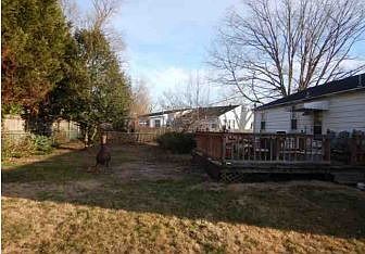 Property Rear View