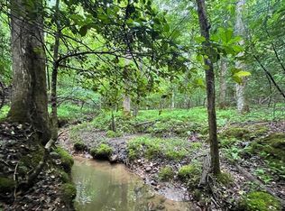 241 Lemmon Ln #1040, Ellijay, GA 30540