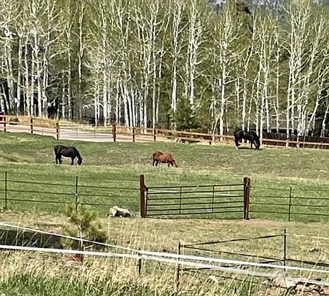 2nd image of 8537 S Doubleheader Ranch Rd #3