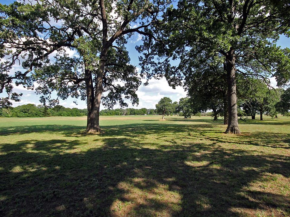 Beautiful Oak trees at front