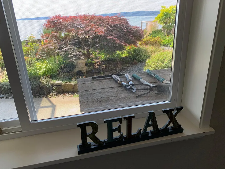 A view from the living room.
