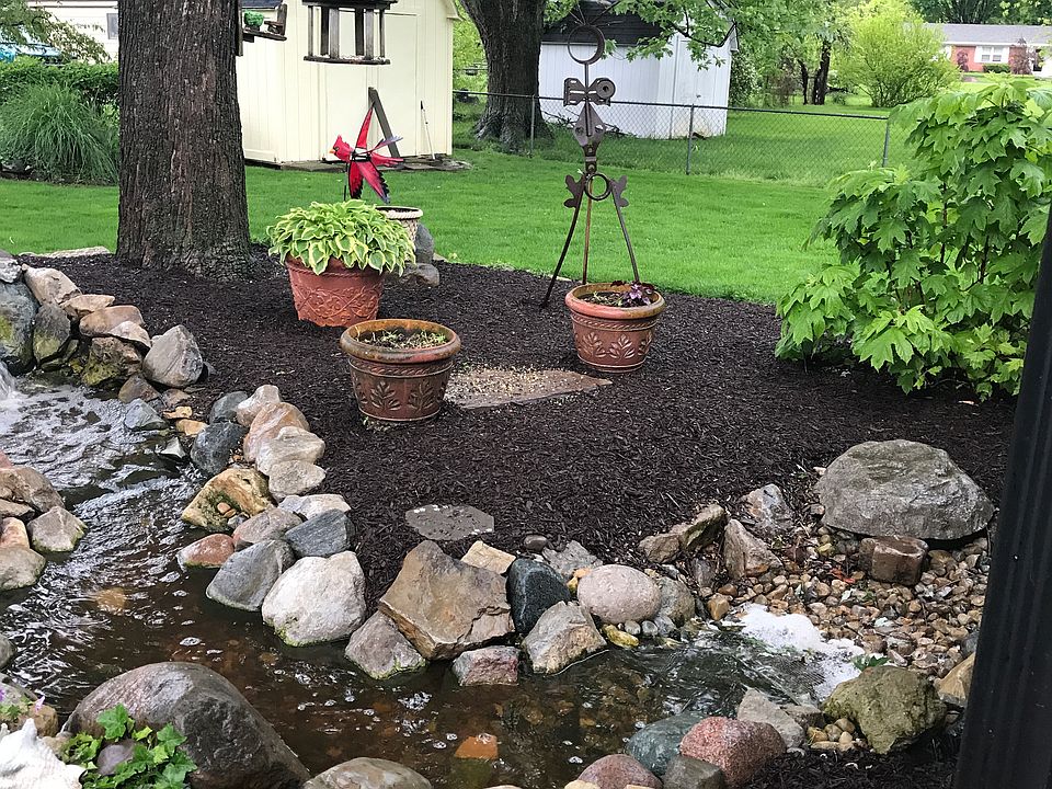 Backyard oasis
