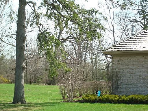 2nd image of 790 Daneth Ct
