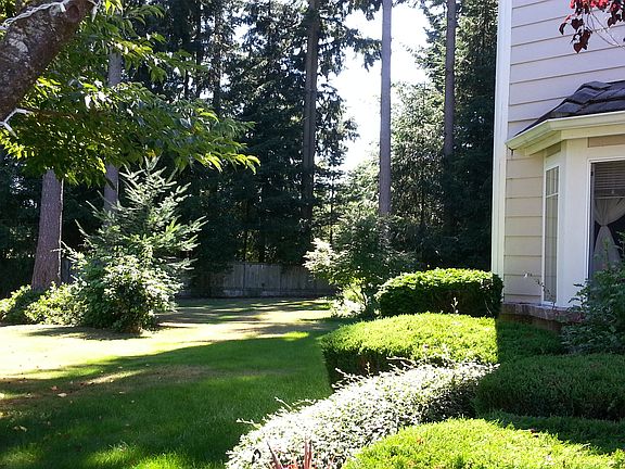 Side Yard View