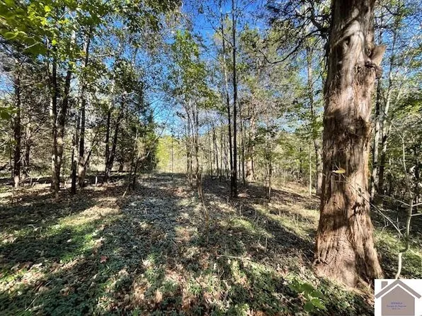 LOT 27 Miller Ln, Cadiz, KY 42211