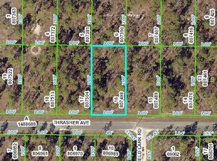 13075 Thrasher Ave, Weeki Wachee, FL 34614