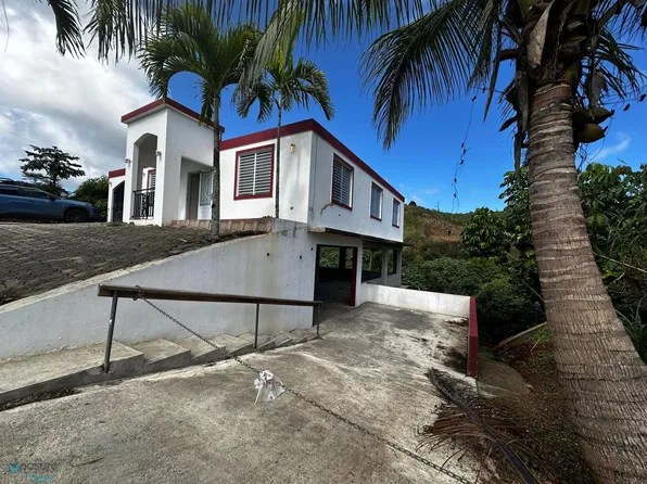 38 Comerio Barrio Dona Glns, Comerio, PR 00782