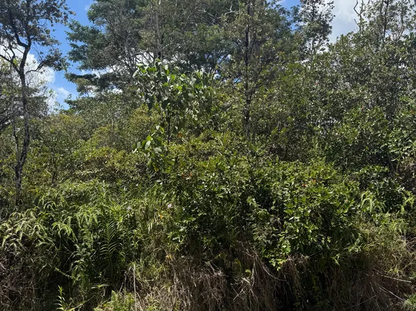 Pikake Dr Lot 22, Pahoa, HI 96778