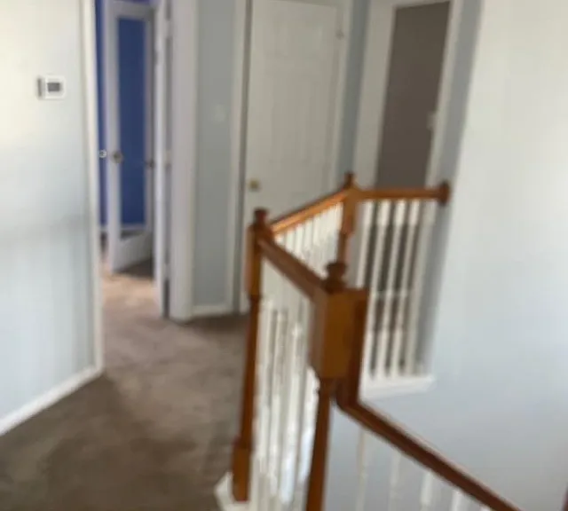 2219 Beacon Light Ln — Photo 14