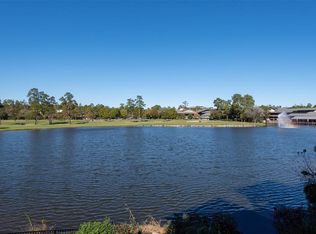 46 Lakeside Cv, Spring, TX 77380