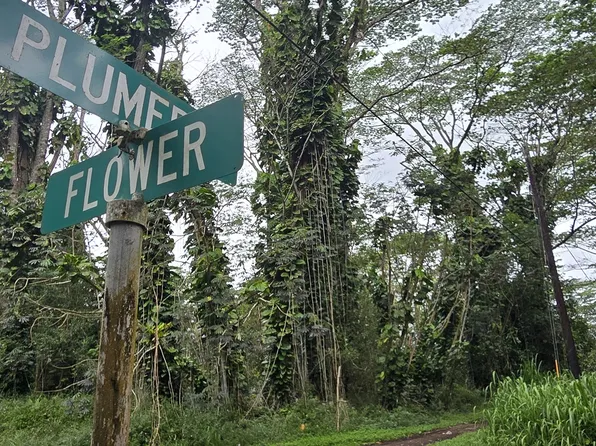 Plumeria Road 107 #&-108, Pahoa, HI 96778