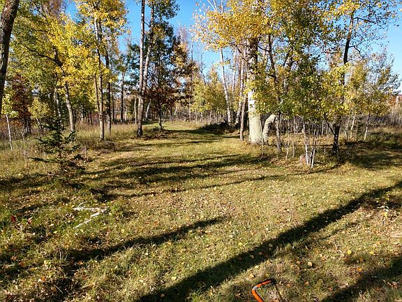Perfectly manicured ski trails