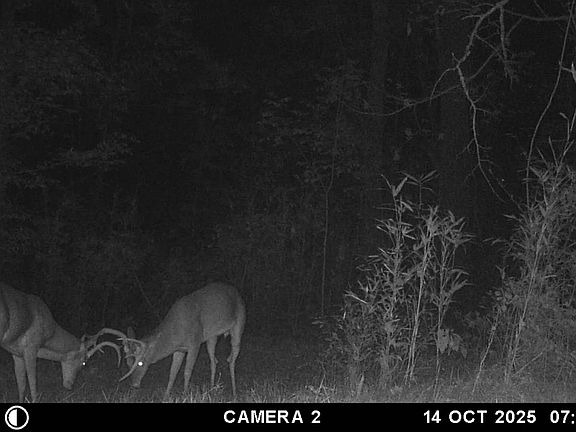 5th image of 1 Midway Rd