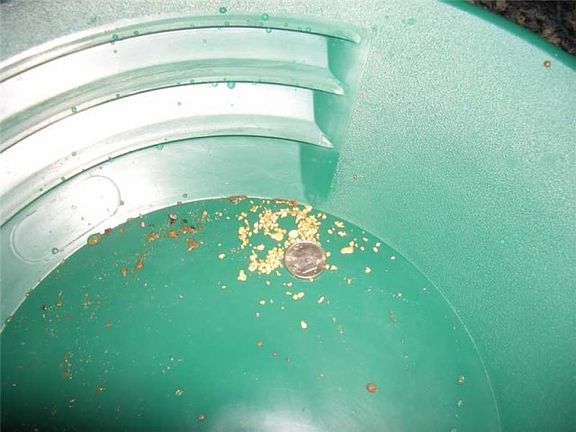 2nd image of 250 Gold Diggers Trl
