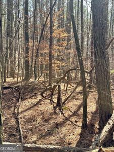 0 Autry Rd SW, Plainville, GA, 30733