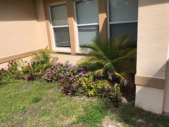Front of the house