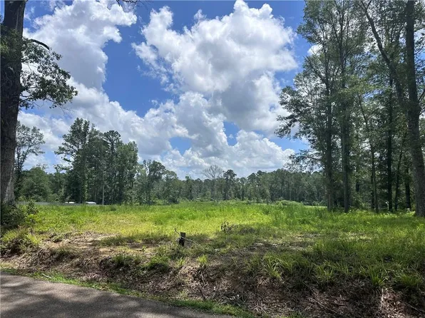 63194 Hill St Tract 3, Roseland, LA 70456