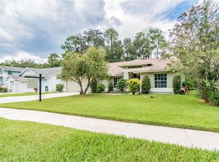 3630 Cold Creek Dr, Valrico, FL 33596