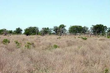 Land