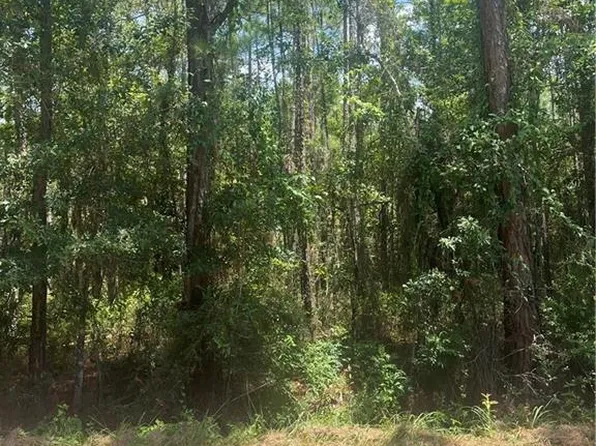 0 Maura Dr #10, Bayou La Batre, AL 36509
