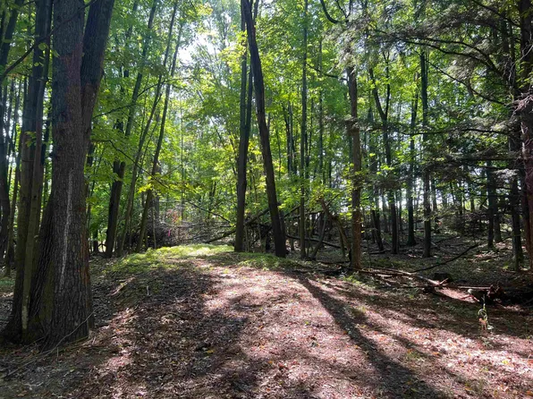 Rocky Ridge Ln, Shawano, WI 54166