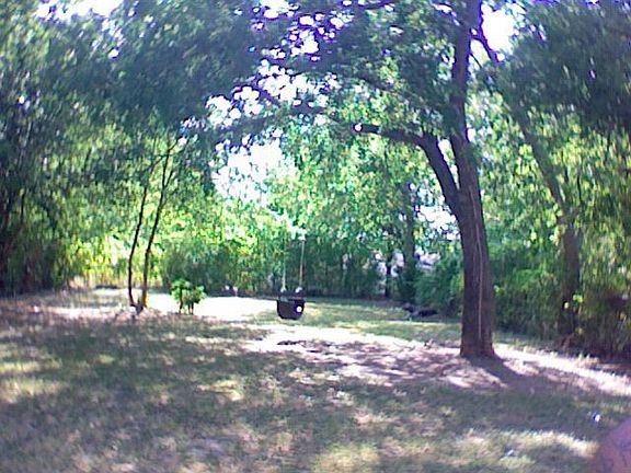 Huge Backyard