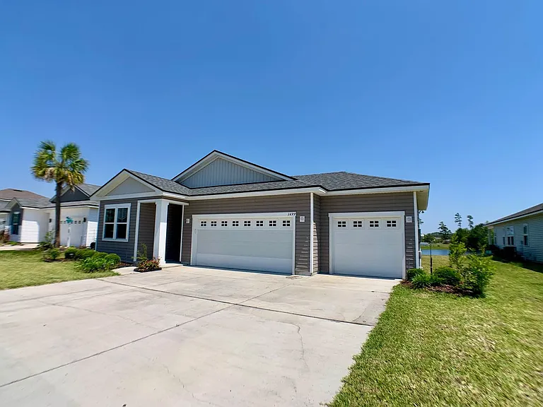 1499 Tropical Pine Cv — Photo 4
