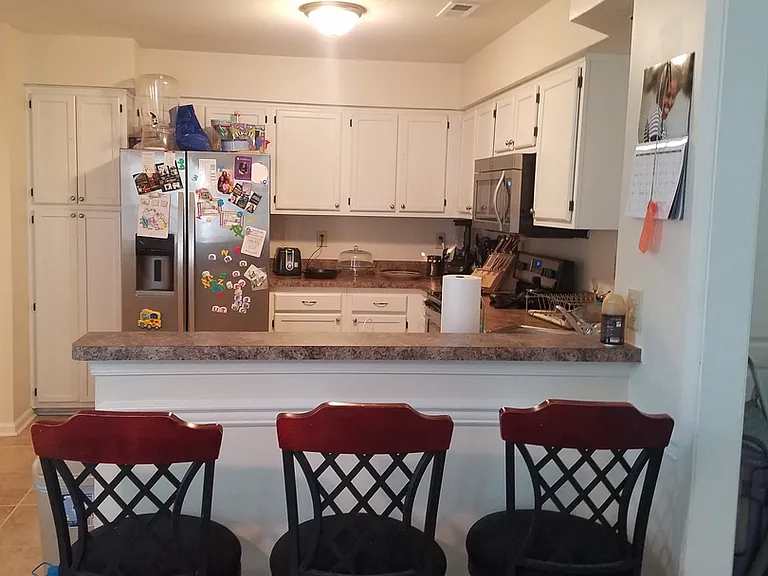 1001 Shoal Creek Trl — Photo 4