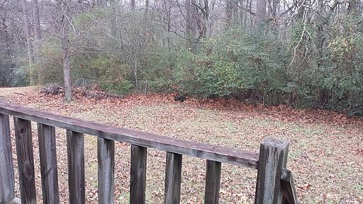4th image of 7506 Bonnie Dr APT A