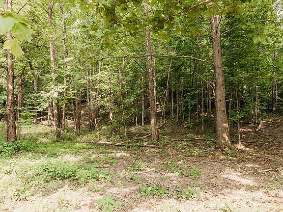 3rd image of 0 Proffitt Rd Lot 0
