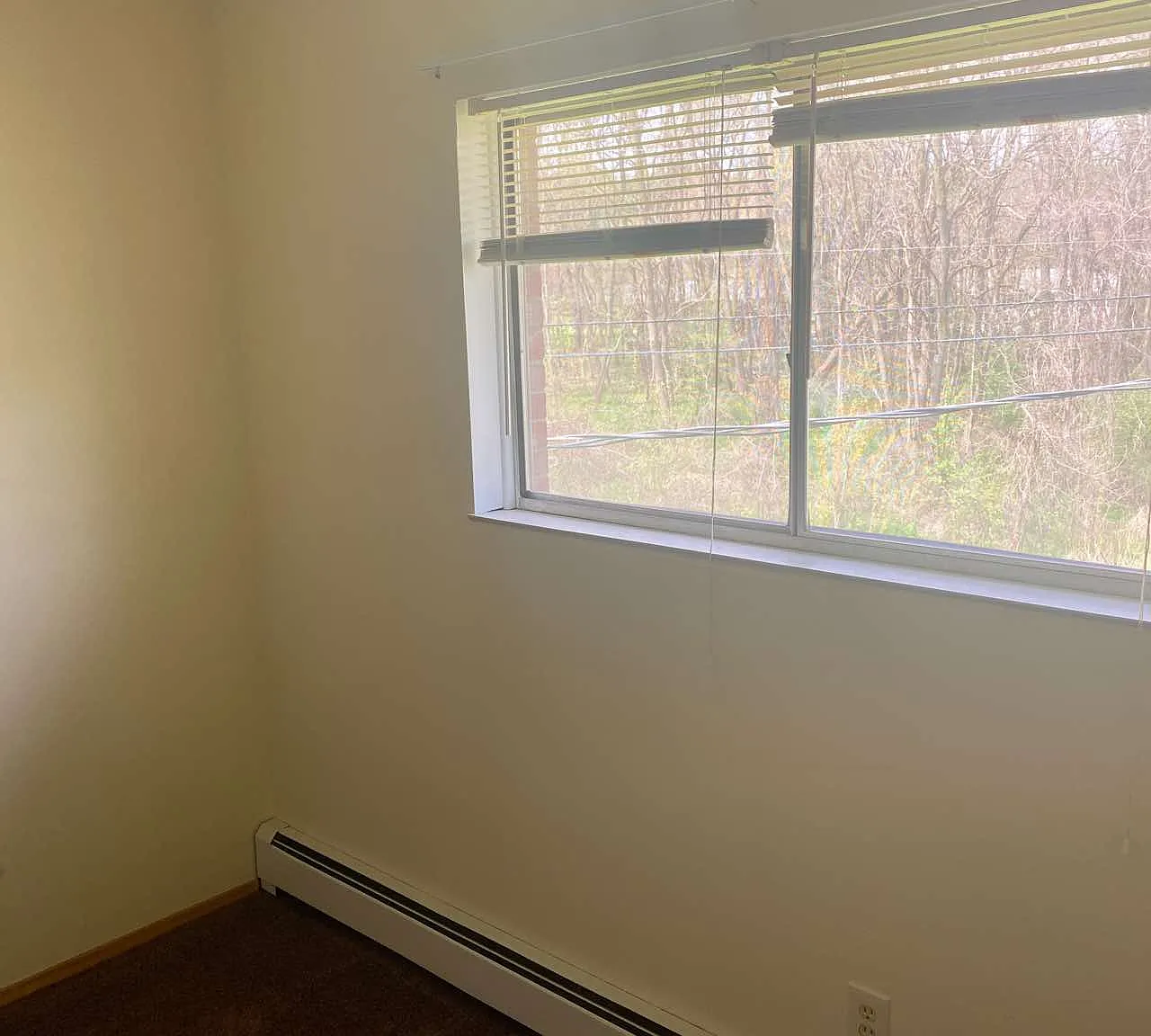 Spaulding Apts-290 - 203 — Photo 4
