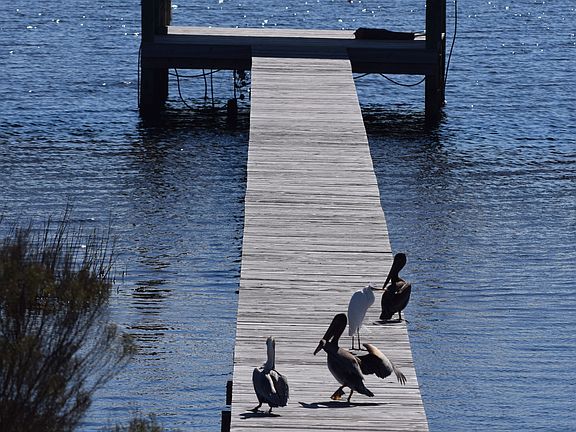 300 ft. pier w/Boathouse (2)