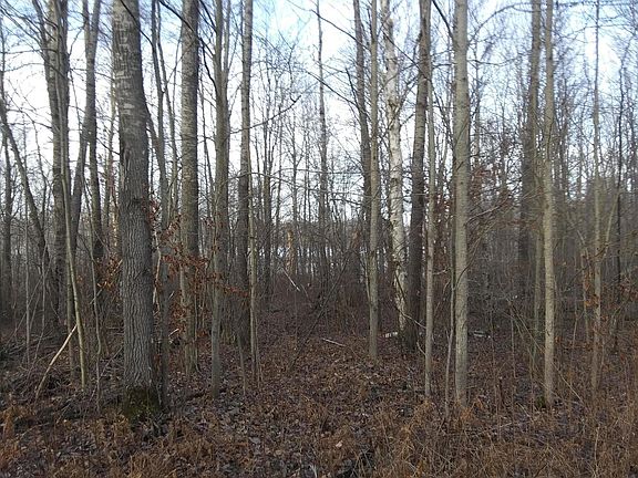 3rd image of Wilderness Dr