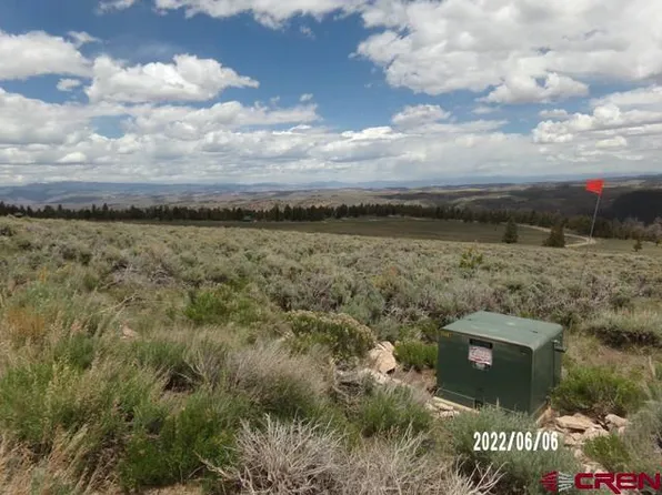 980 Cinnamon Trail, Powderhorn, CO 81243