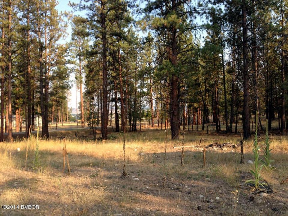 2nd image of 85 Mountain Goat Rd