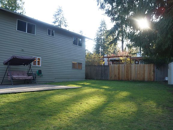 Back yard
