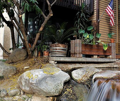 Waterfall in back of unit