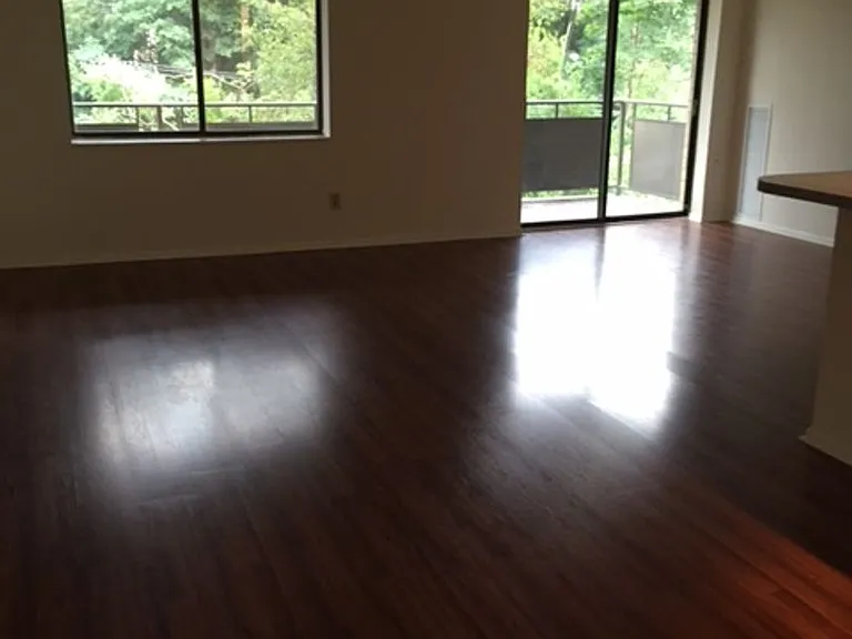 Chestnut Hill South — Photo 11