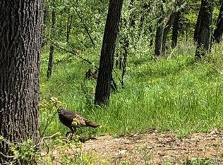 LOT-251A Cedarmore Rd, Bagdad, KY 40003