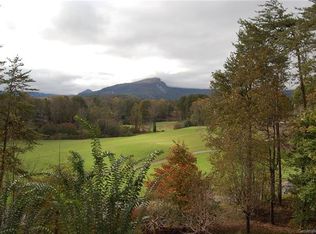114 McIntosh Cir #2, Lake Lure, NC 28746