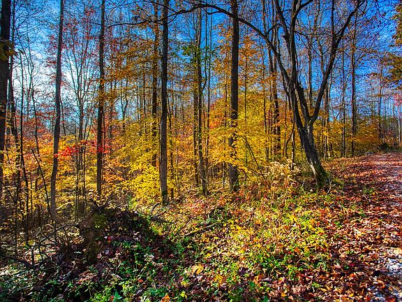 4th image of 1192 Shellotte Loop Rd