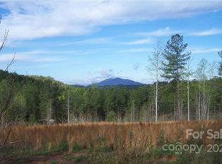 TRACT 3 County Line Rd, Mill Spring, NC 28756